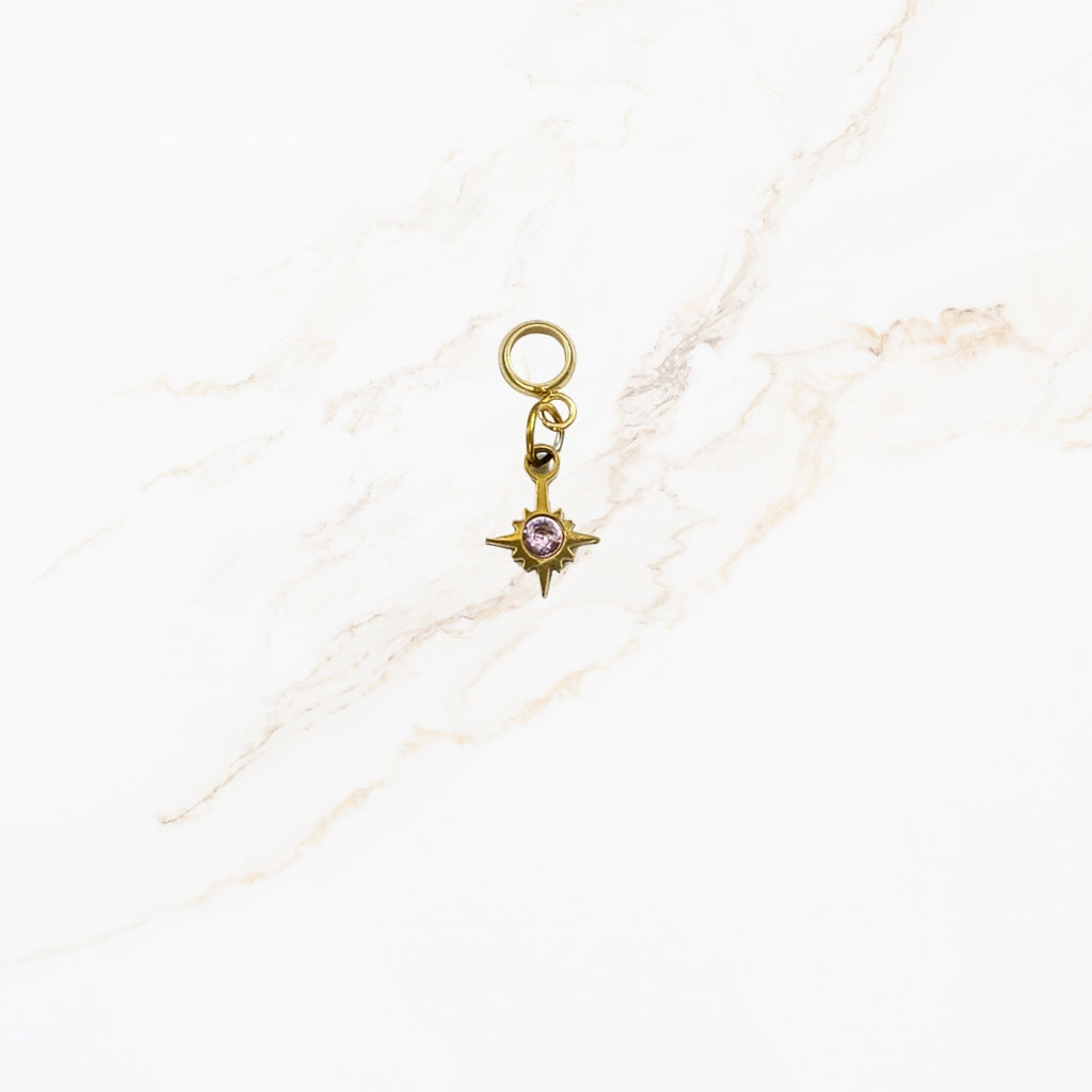 Seyso kompas stainless steel bedeltje in meerdere kleuren uit Design Your Own collectie