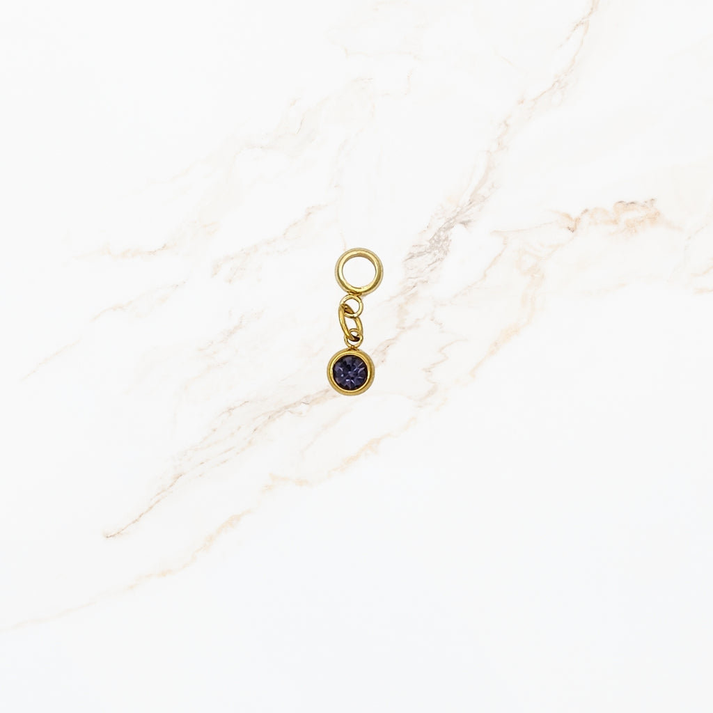 Seyso cirkel stainless steel bedeltje in meerdere kleuren uit Design Your Own collectie