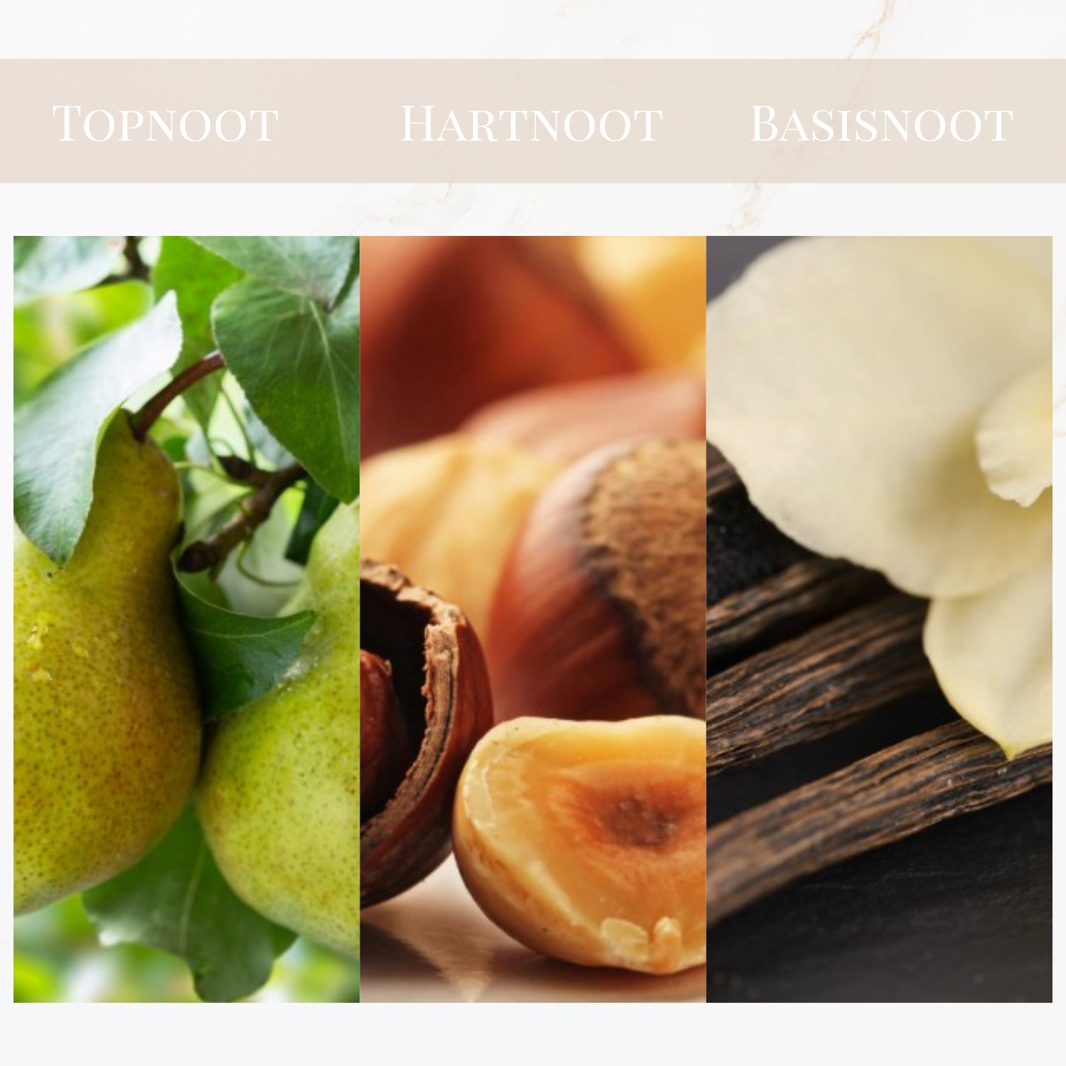 Seyso Yodeyma Amira parfum dames luxe niche geur warm en elegant verkrijgbaar in 15 ml 50 ml en 100 ml stijlvolle glazen flacon roze tint