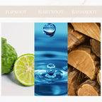 Seyso Yodeyma Aqua Per Uomo geur fris chypre heren parfum