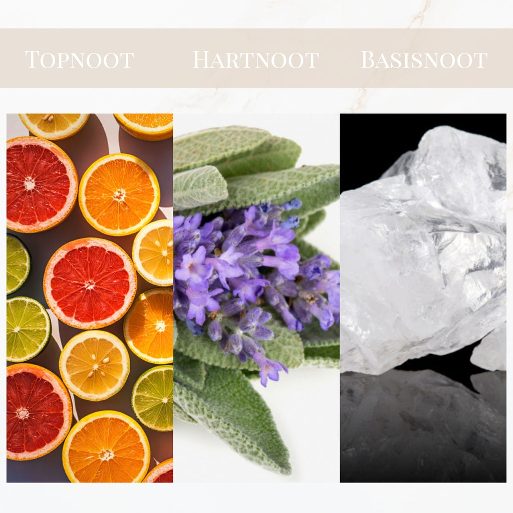 Seyso Yodeyma Beach geur aromatisch houtachtig heren parfum