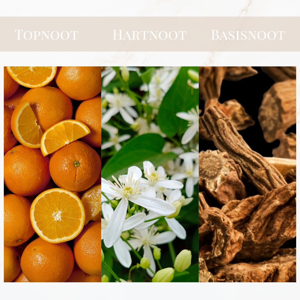 Seyso Yodeyma Bleu geur aromatisch krachtig heren parfum