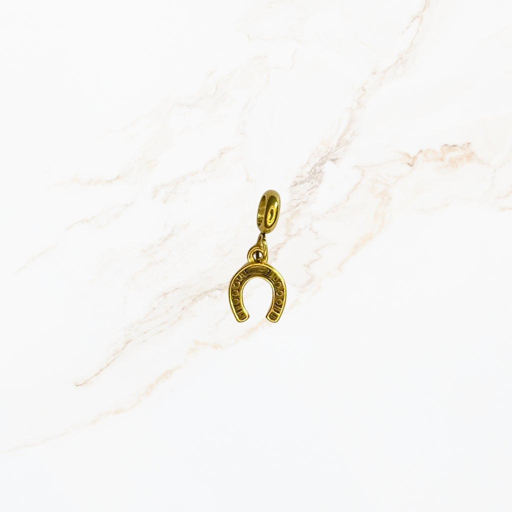 Seyso Lucky Hoefijzer stainless steel bedeltje uit Design Your Own collectie