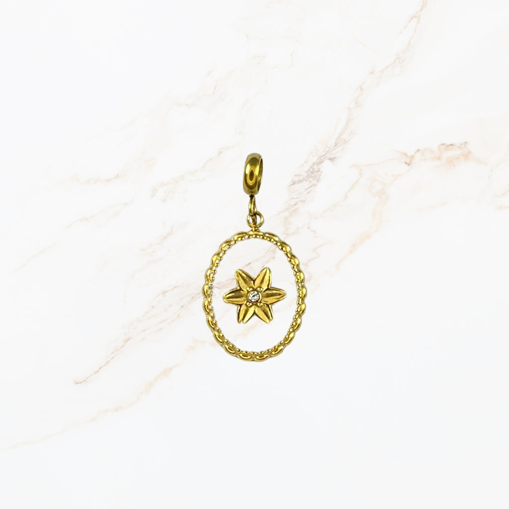 Seyso oval star stainless steel bedeltje uit Design Your Own collectie
