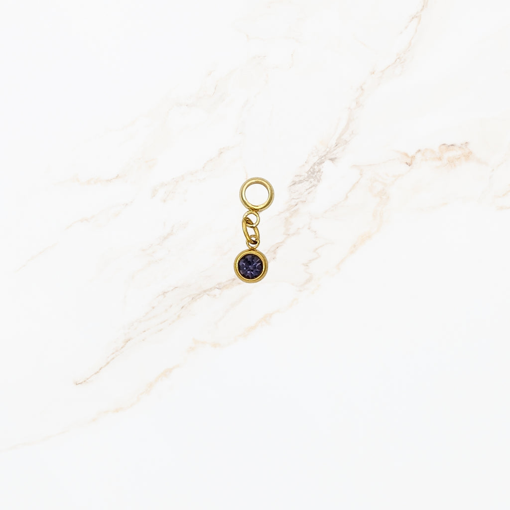 Seyso cirkel stainless steel bedeltje in meerdere kleuren uit Design Your Own collectie