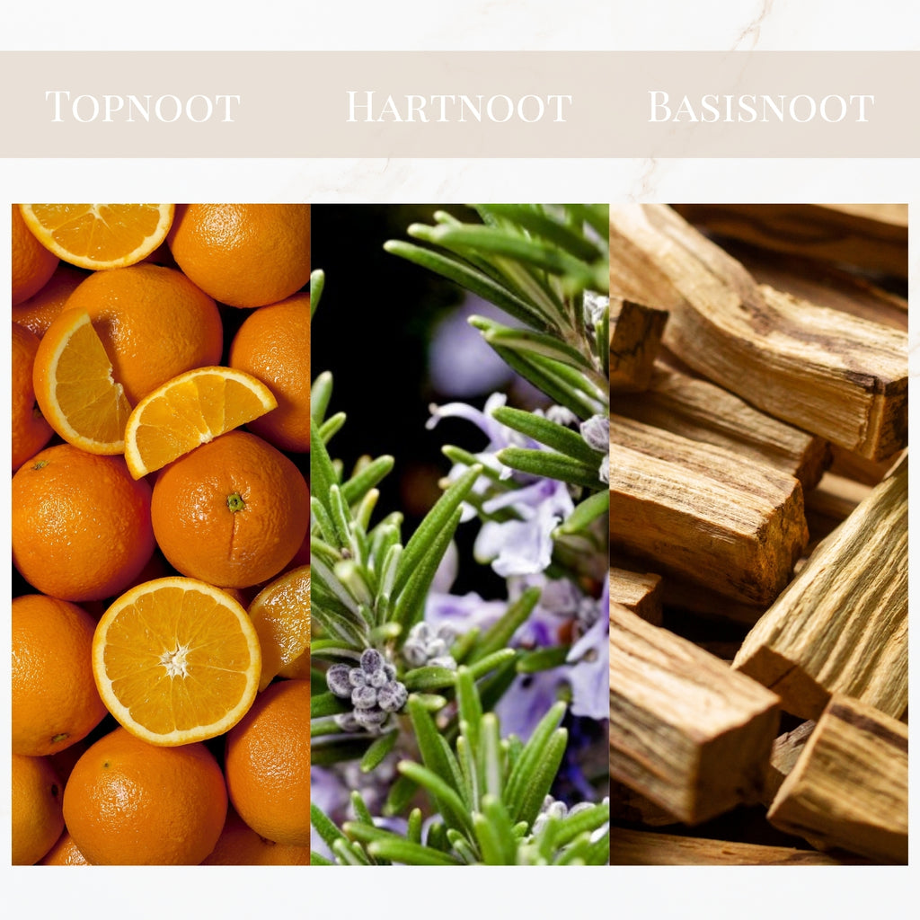 Seyso Yodeyma Capri geur fris tijdloos unisex parfum