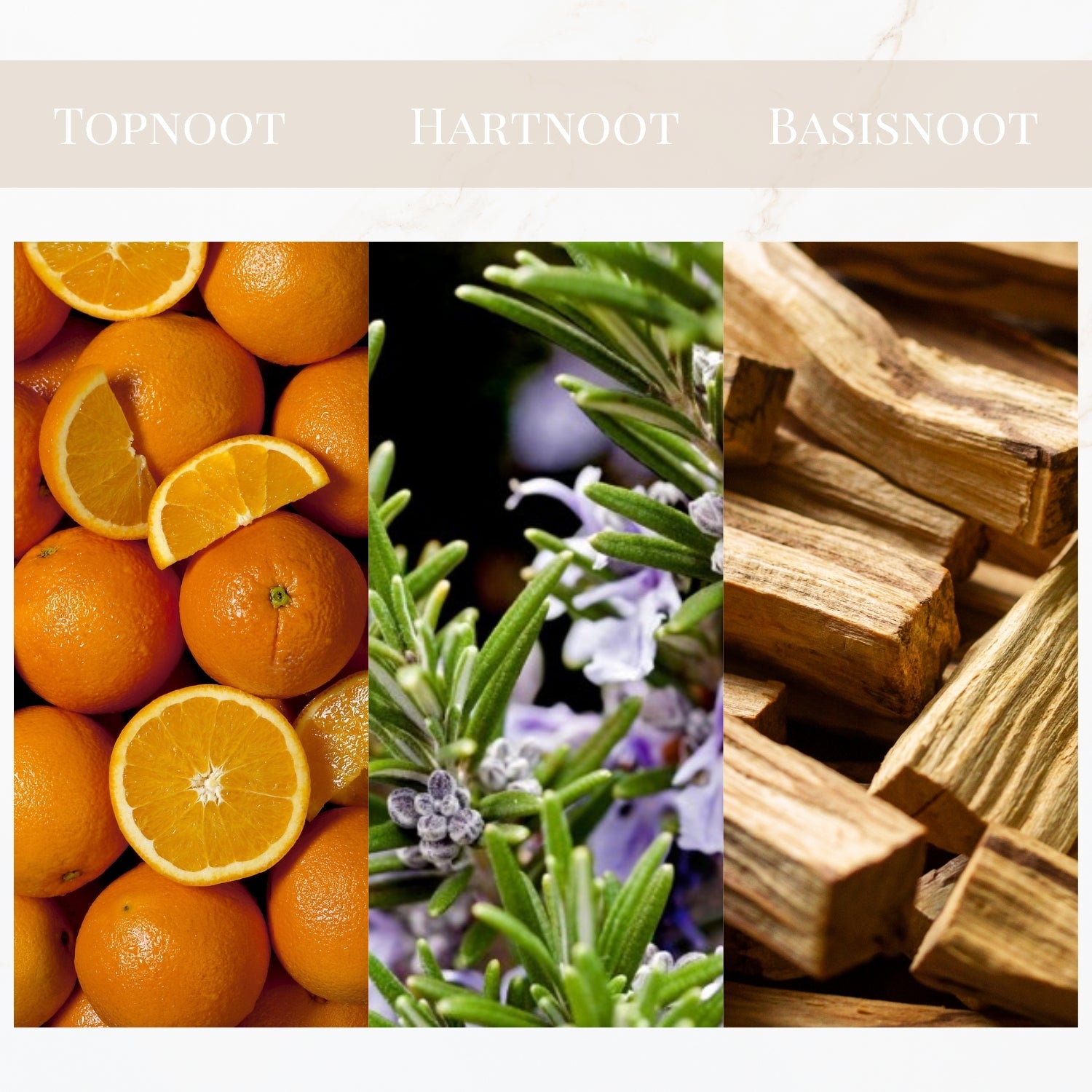 Seyso Yodeyma Capri geur fris tijdloos unisex parfum