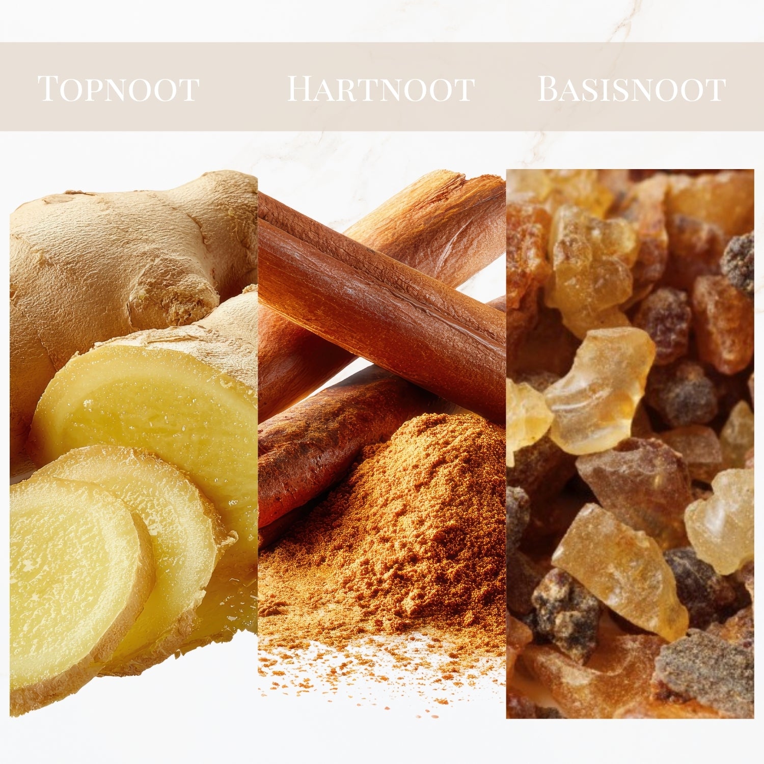 Seyso Yodeyma Complicidad parfum gember kaneel mirre heren