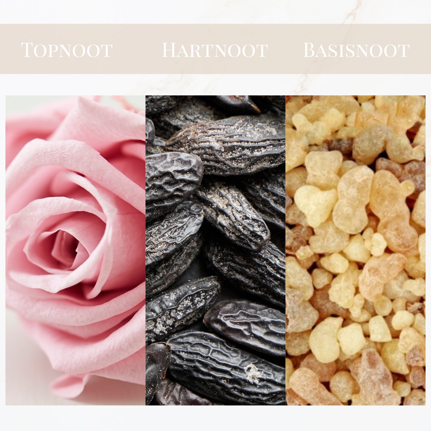 Seyso Yodeyma Dinara parfum dames luxe niche geur verkrijgbaar in 15 ml 50 ml en 100 ml elegante glazen flacon roze tint