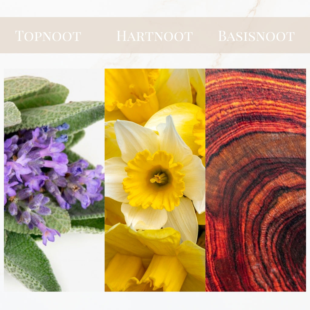 Seyso Yodeyma Houston parfum fles modern stoer design