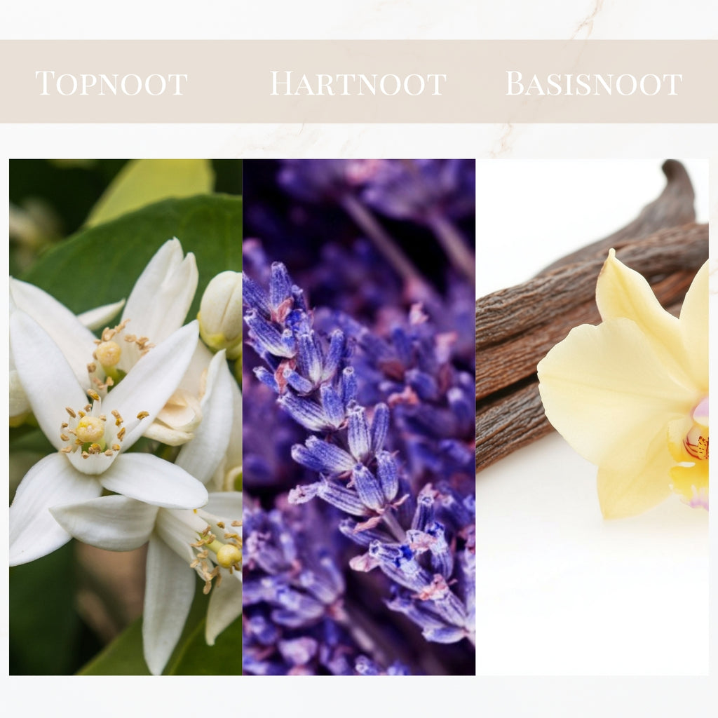 Seyso Yodeyma Instint parfum sinaasappelbloesem lavendel vanille