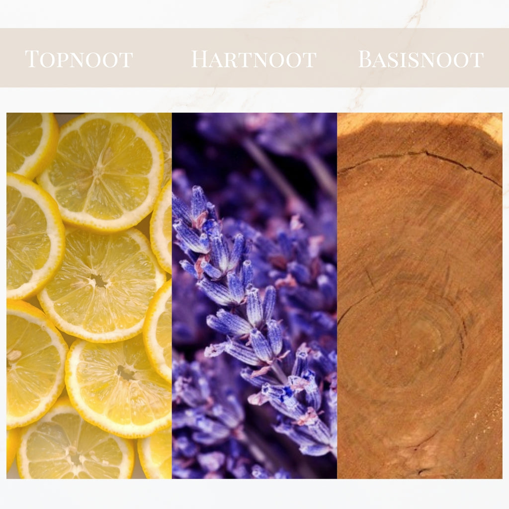 Seyso Yodeyma Kent geur fougere houtachtig heren parfum