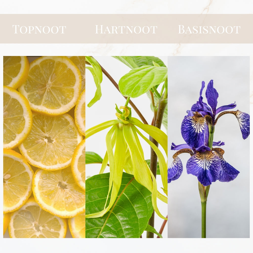 Seyso Yodeyma Leau Berlue parfum dames frisse en elegante luxe geur verkrijgbaar in 15 ml 50 ml en 100 ml stijlvolle glazen flacon lichtgele tint