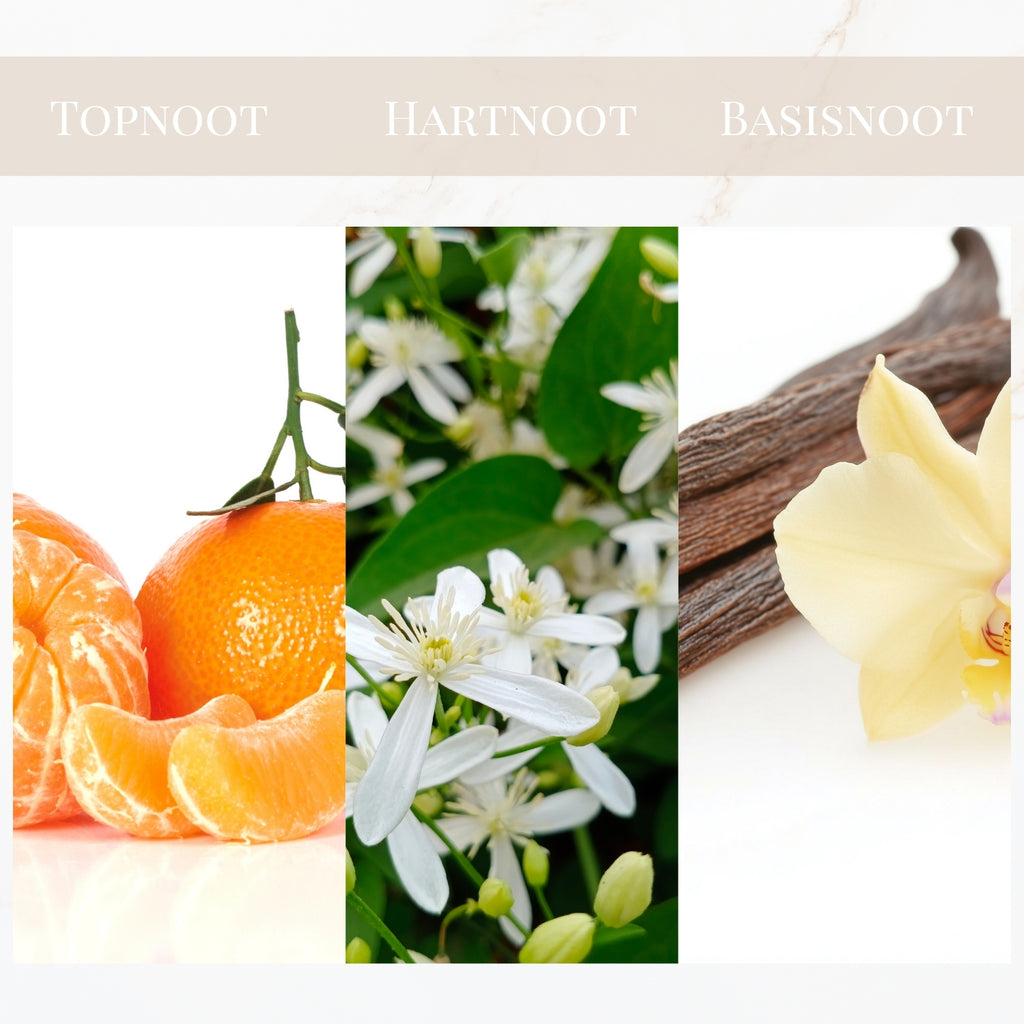 Seyso Yodeyma Luxor parfum dames warme en elegante luxe geur verkrijgbaar in 15 ml 50 ml en 100 ml stijlvolle glazen flacon zachte beige tint