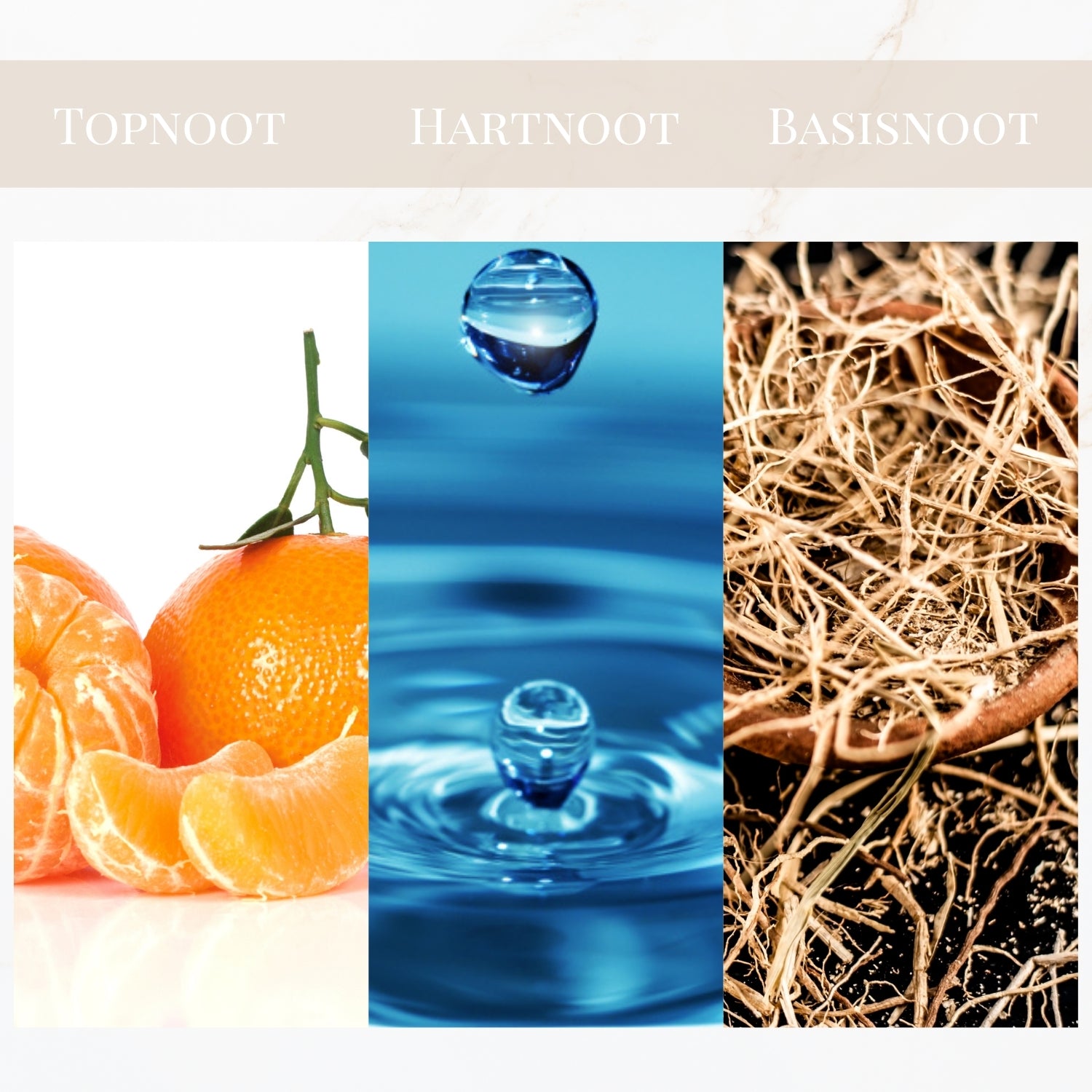 Seyso Yodeyma Metal Sport parfum mandarijn aquatisch vetiver heren