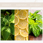 Seyso Yodeyma Mint Ocean geur verkoelend energiek heren parfum