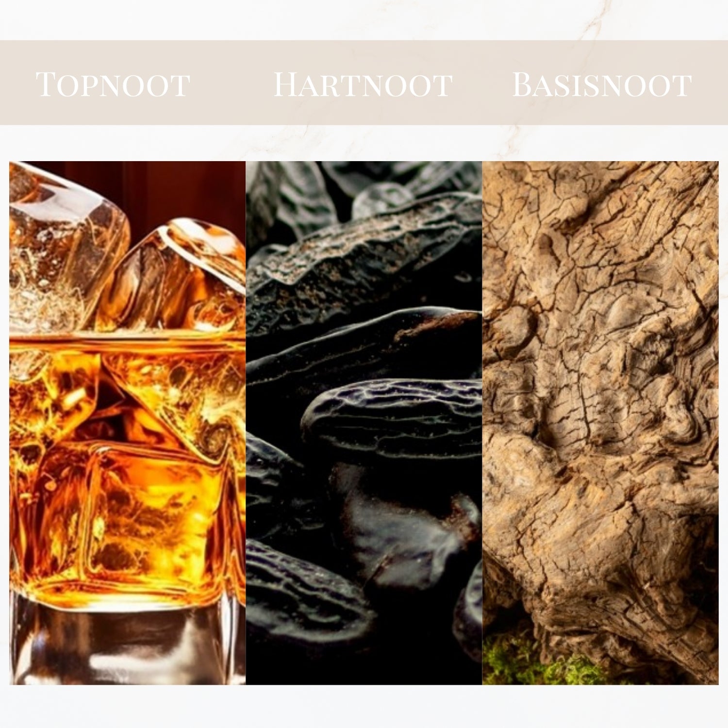 Seyso Yodeyma Nya parfum fles elegant warm design