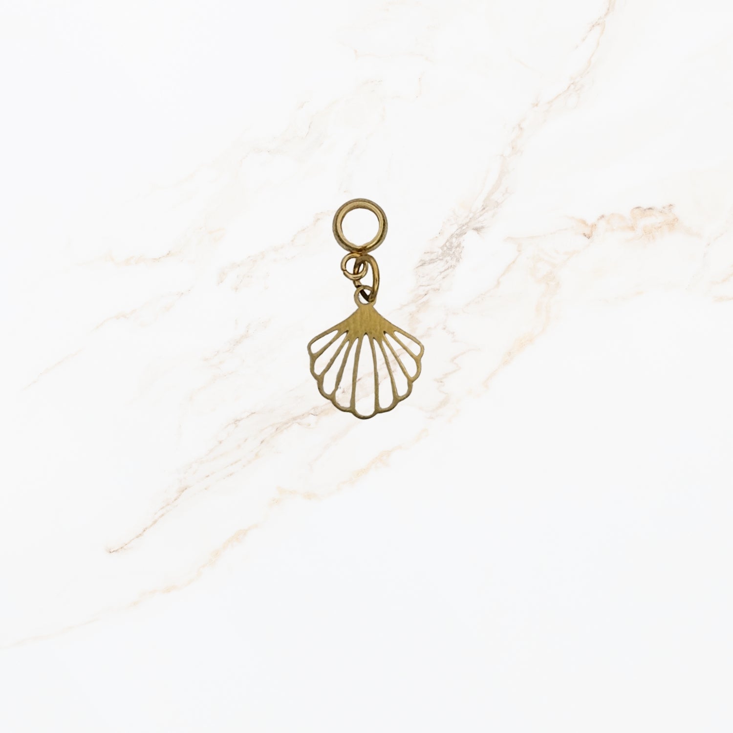 Transparent Shell – Ocean Charm