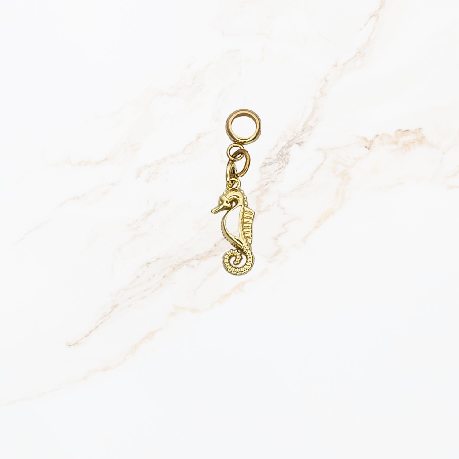 Sea Horse - Ocean Charm