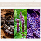 Seyso Yodeyma Oud Gem parfum oud patchouli lavendel heren