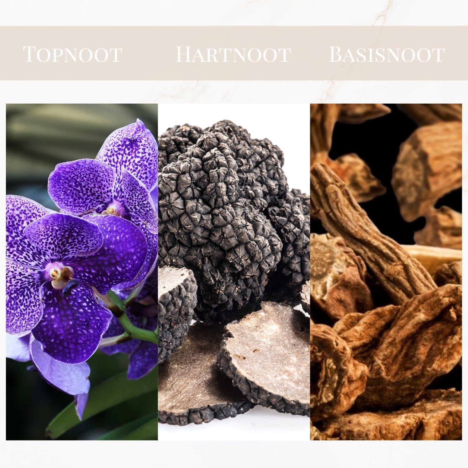 Seyso Yodeyma Oude geur houtachtig oriental sensueel parfum