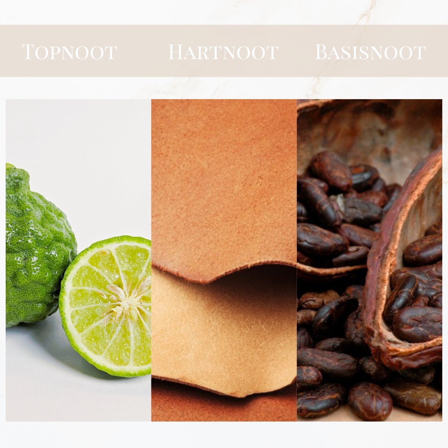 Seyso Yodeyma Peak geur warm karaktervol heren parfum