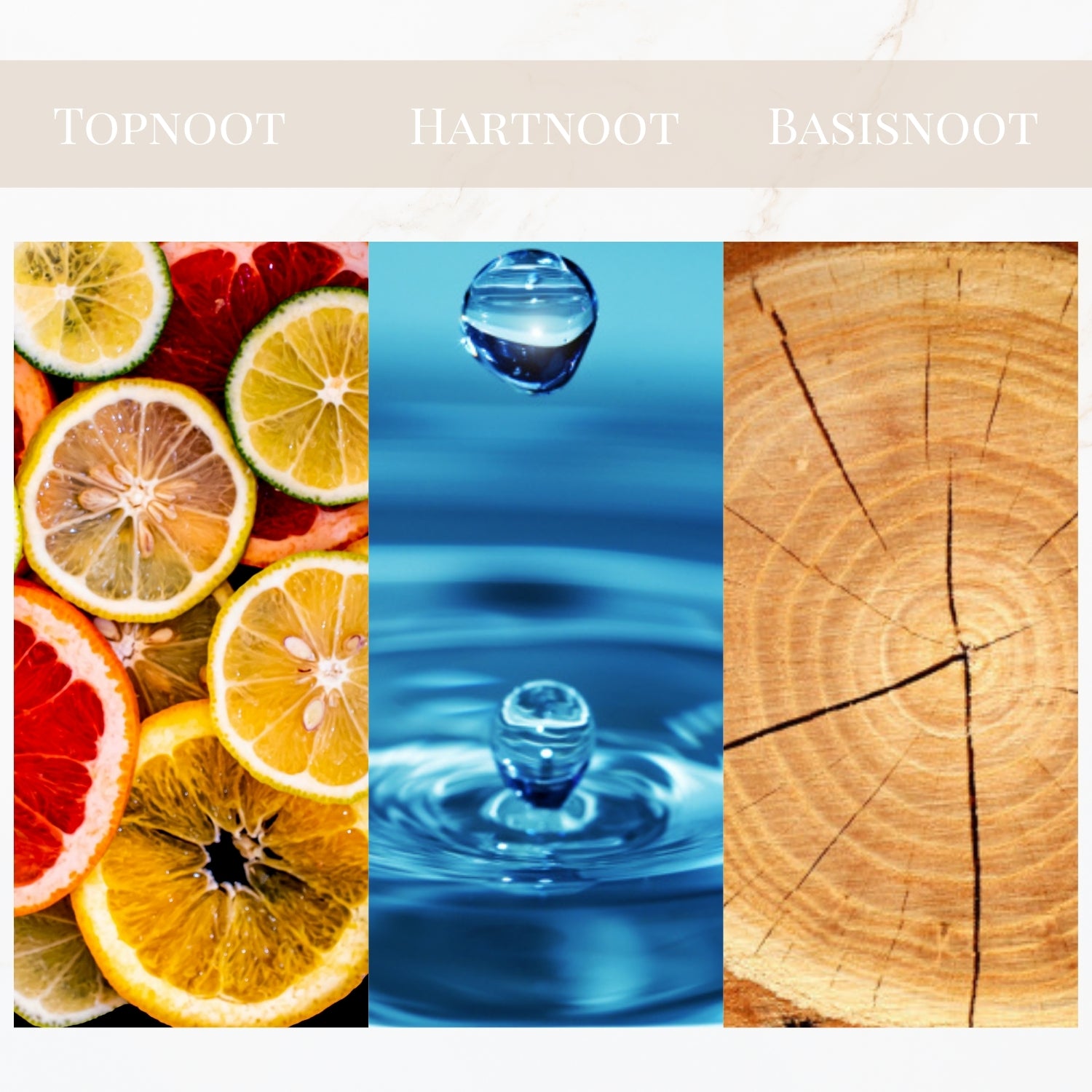 Seyso Yodeyma Platinum geur aromatisch energiek heren parfum