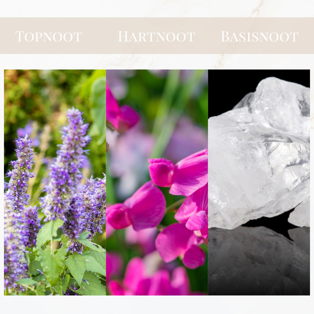 Seyso Yodeyma Poetic parfum citroenbloem zoete erwt dames