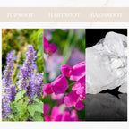 Seyso Yodeyma Poetic parfum citroenbloem zoete erwt dames