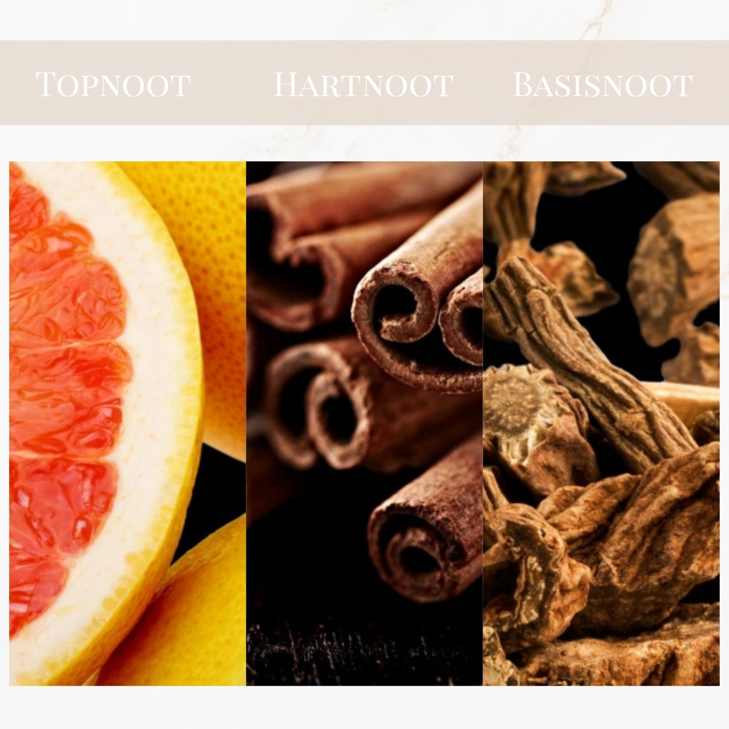 Seyso Yodeyma Power geur chypre houtachtig heren parfum