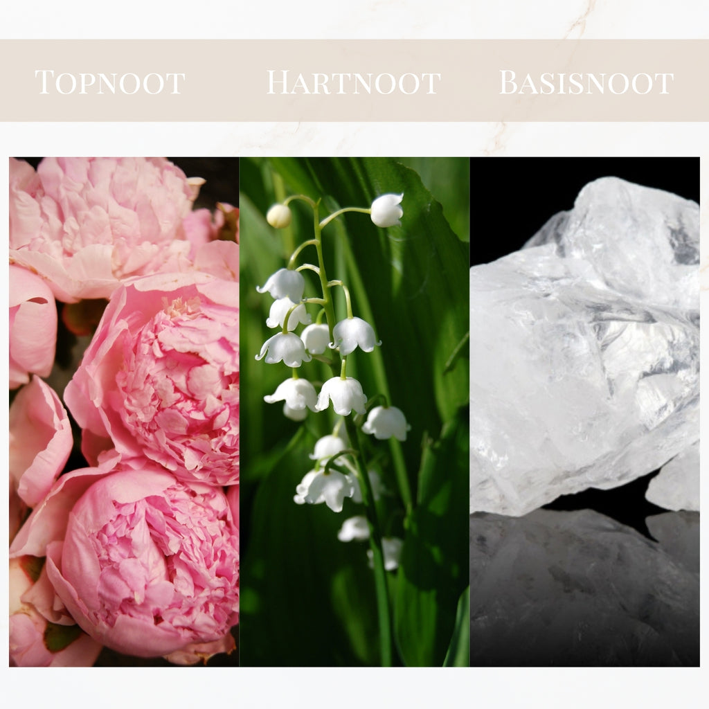 Seyso Yodeyma Seduccion geur witte muskus zacht parfum