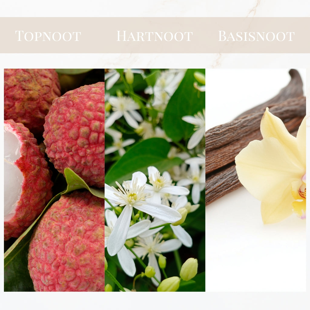 Seyso Yodeyma Sophisticate geur chypre bloemig dames parfum