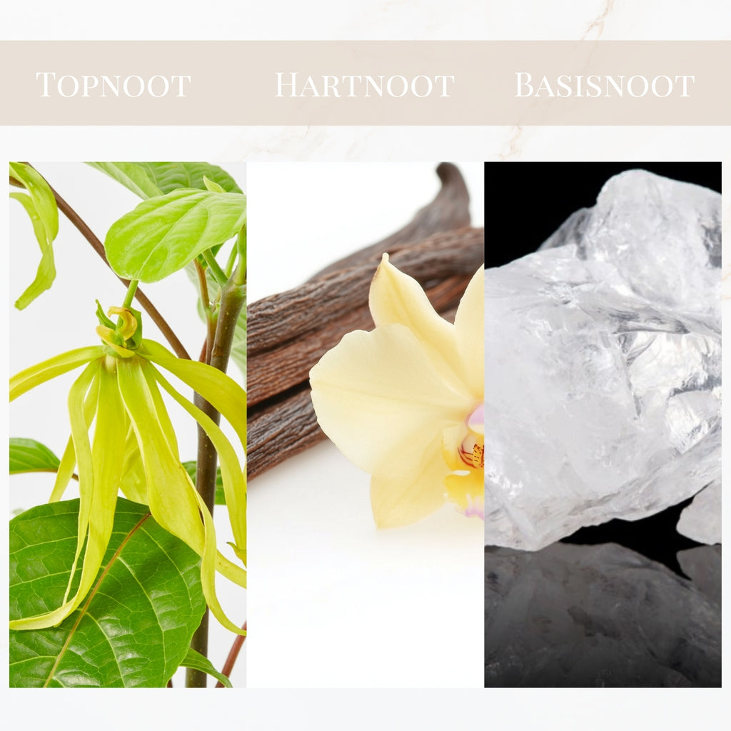 Seyso Yodeyma Suerte geur witte muskus verleidelijk parfum