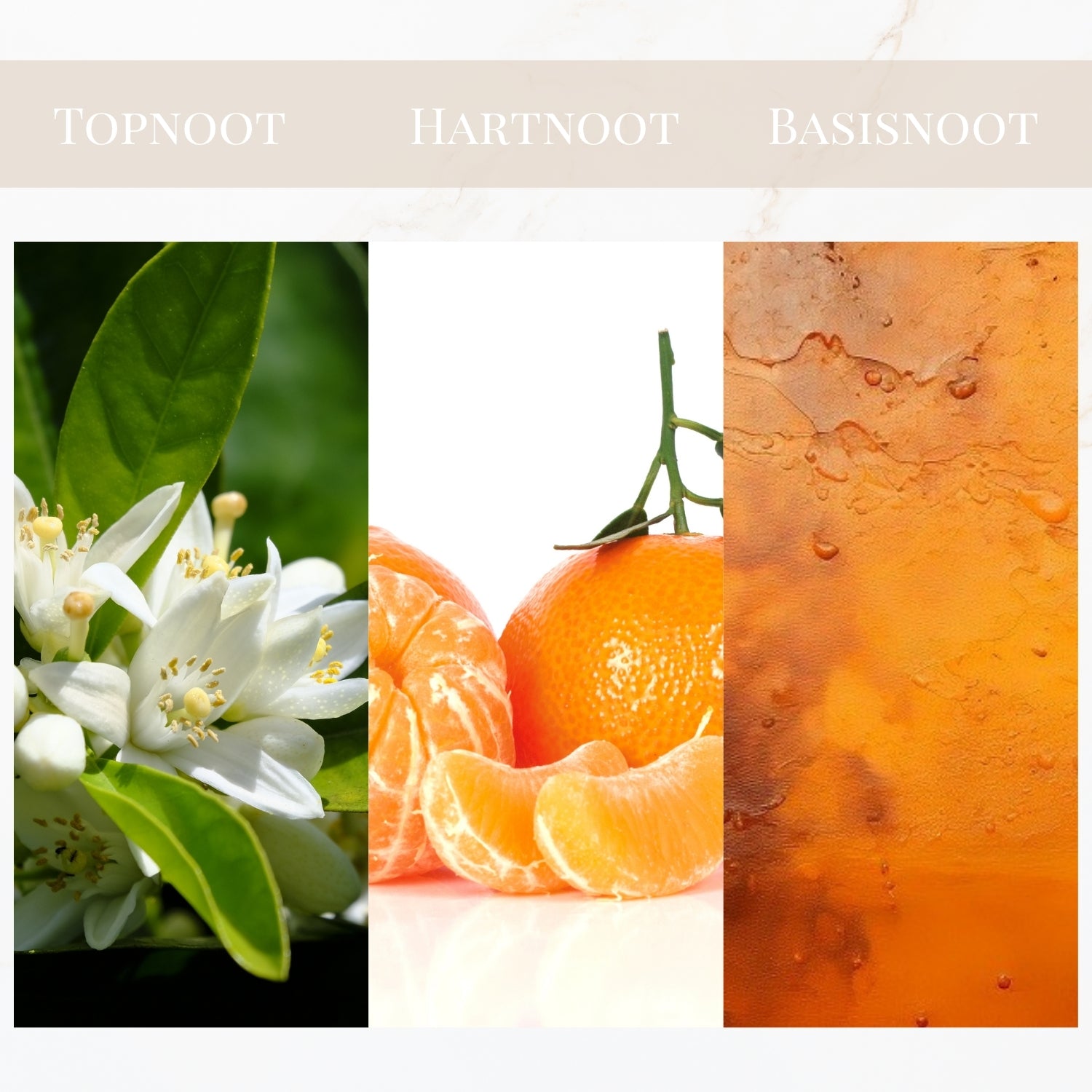 Seyso Yodeyma Valia parfum sinaasappelbloesem mandarijn dames