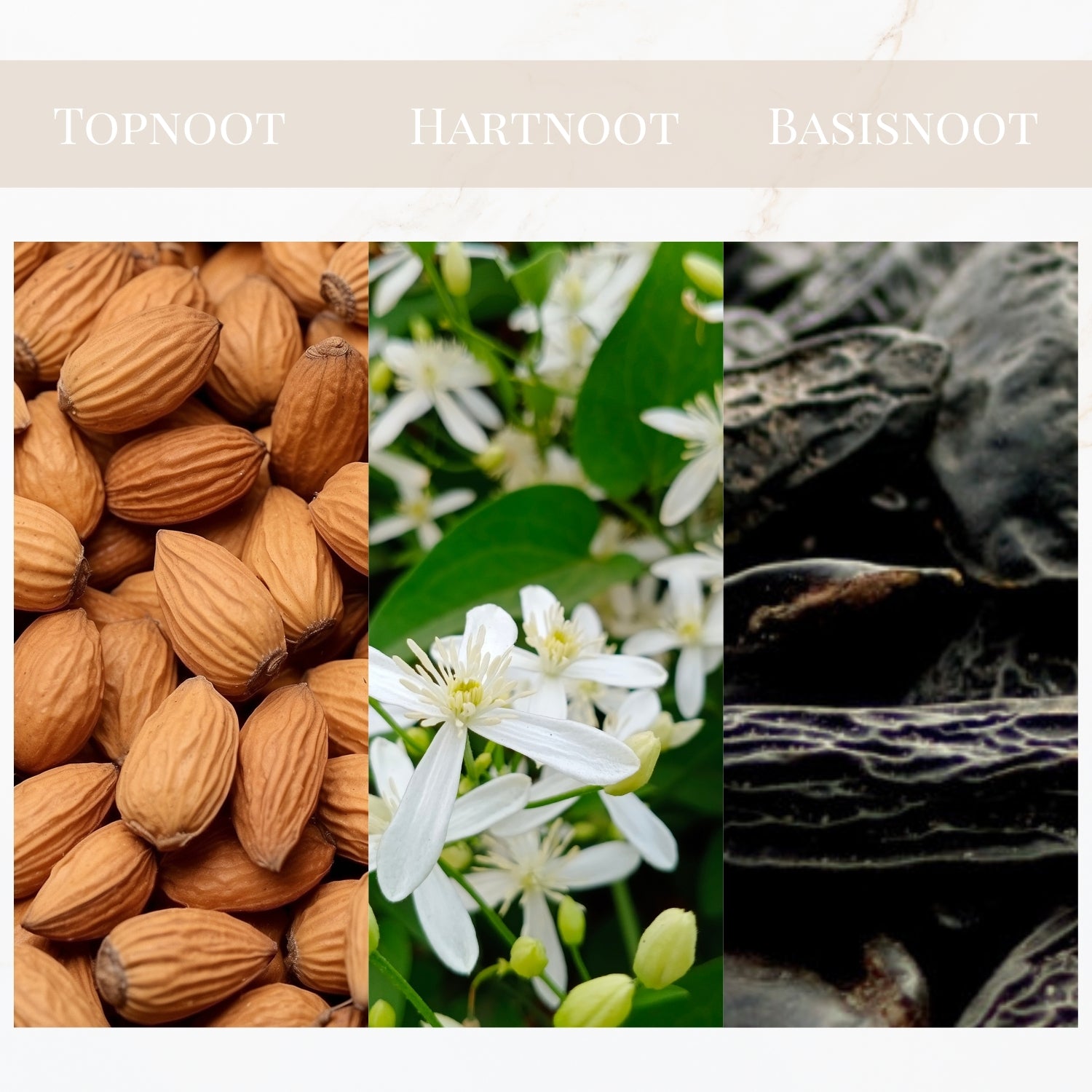 Seyso Yodeyma Very Special geur warm intens verleidelijk parfum