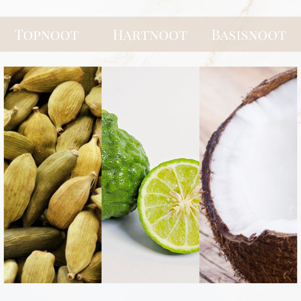 Seyso Yodeyma White Summer geur kardemom warm sensueel parfum