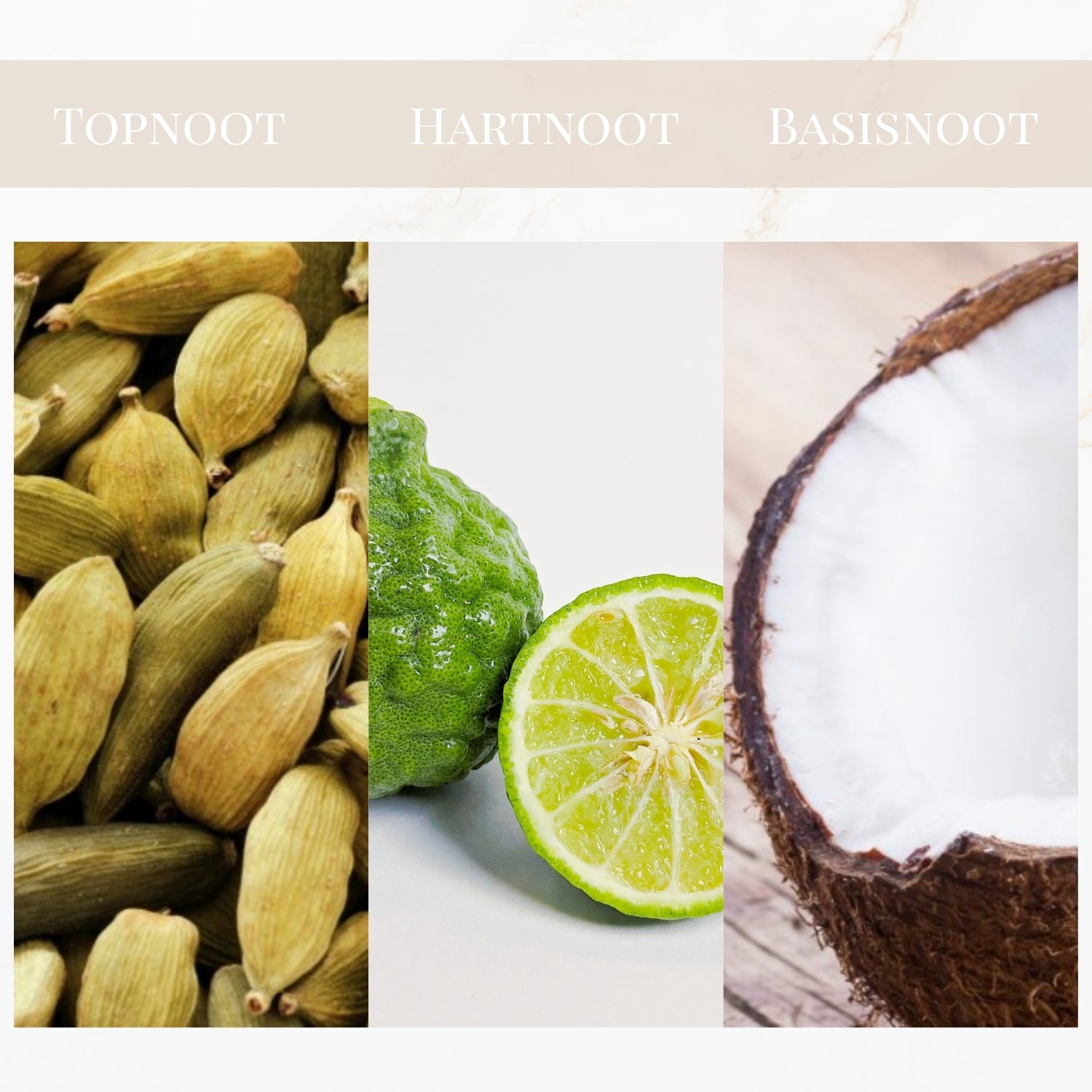 Seyso Yodeyma White Summer geur kardemom warm sensueel parfum