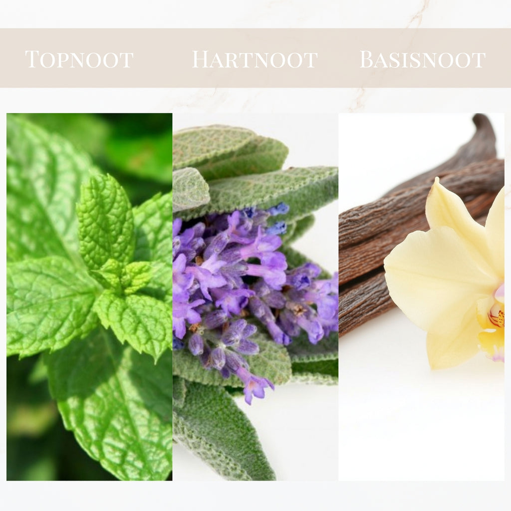 Seyso Yodeyma Wow Scent parfum fles modern vrolijk design