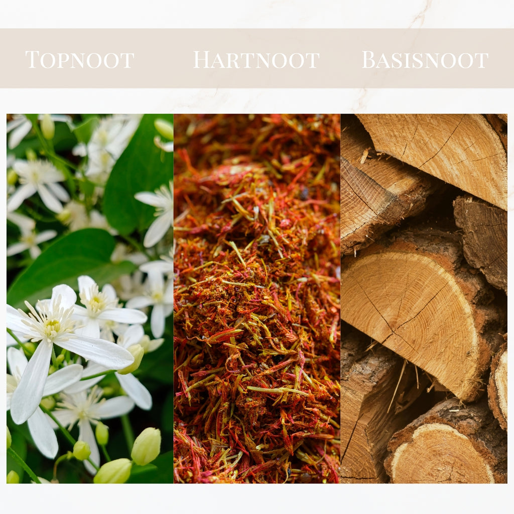 Geurtonen van Yodeyma Boreal parfum