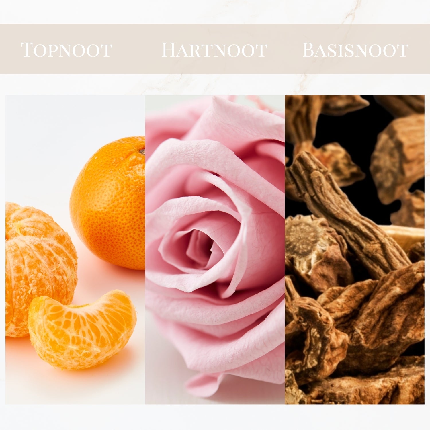 Geurtonen van Yodeyma Cheante parfum