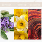 Geurtonen van Yodeyma Housten parfum