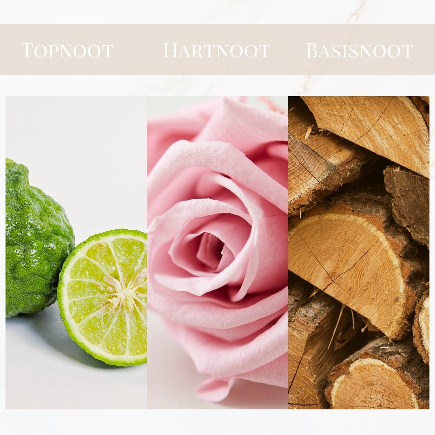 Geurtonen van Yodeyma Linet parfum