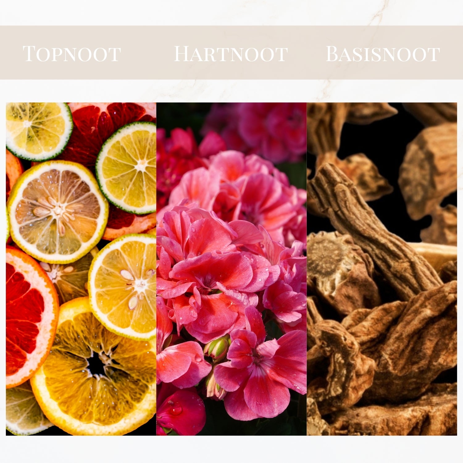 Geurtonen van Yodeyma Root parfum